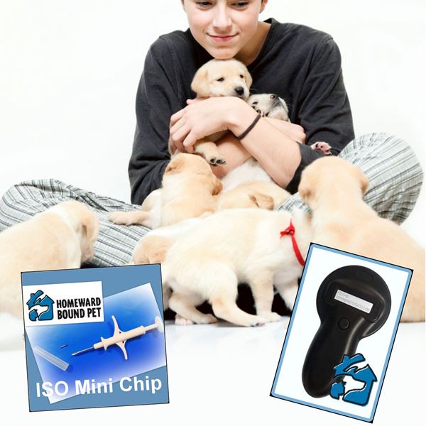 Picture of Starter Kit - 20 Microchips & Scanner